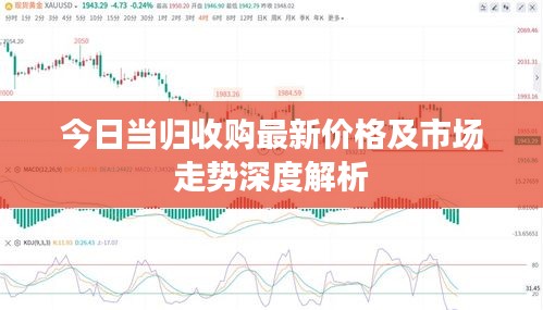 今日當(dāng)歸收購最新價(jià)格及市場(chǎng)走勢(shì)深度解析