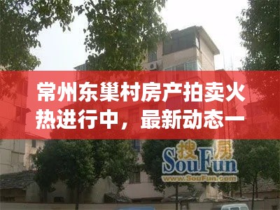 常州東巢村房產(chǎn)拍賣火熱進(jìn)行中，最新動(dòng)態(tài)一網(wǎng)打盡