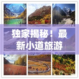 獨(dú)家揭秘！最新小道旅游攻略大全，帶你暢游未知美景
