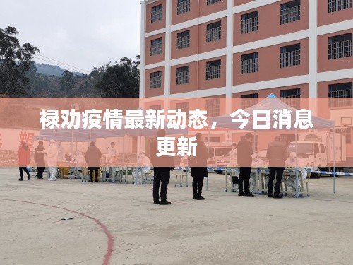 祿勸疫情最新動(dòng)態(tài)，今日消息更新