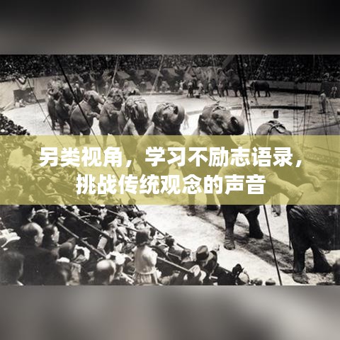 如翚斯飛 第3頁