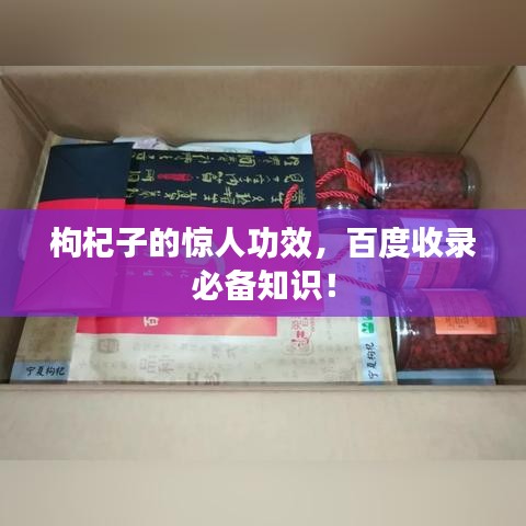 枸杞子的驚人功效，百度收錄必備知識！