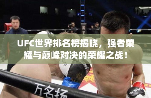 UFC世界排名榜揭曉，強(qiáng)者榮耀與巔峰對決的榮耀之戰(zhàn)！