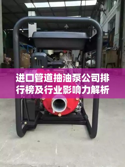 進(jìn)口管道抽油泵公司排行榜及行業(yè)影響力解析
