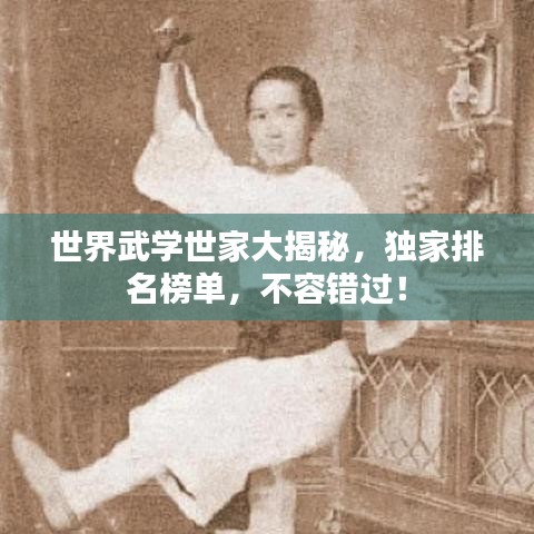 世界武學(xué)世家大揭秘，獨(dú)家排名榜單，不容錯(cuò)過(guò)！