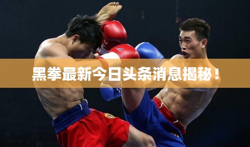 黑拳最新今日頭條消息揭秘！