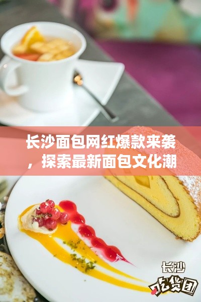 長沙面包網(wǎng)紅爆款來襲，探索最新面包文化潮流