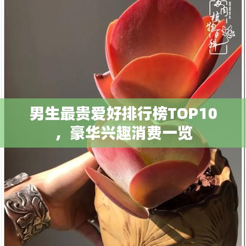 男生最貴愛好排行榜TOP10，豪華興趣消費一覽