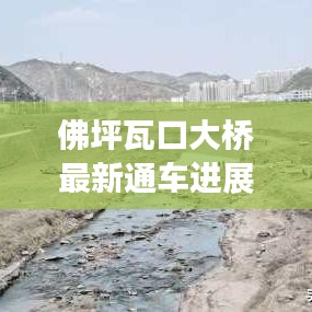 佛坪瓦口大橋最新通車進(jìn)展，交通新里程碑誕生！