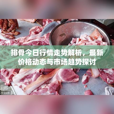 排骨今日行情走勢解析，最新價格動態(tài)與市場趨勢探討