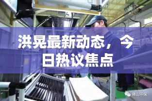 洪晃最新動態(tài)，今日熱議焦點