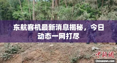 東航客機(jī)最新消息揭秘，今日動態(tài)一網(wǎng)打盡