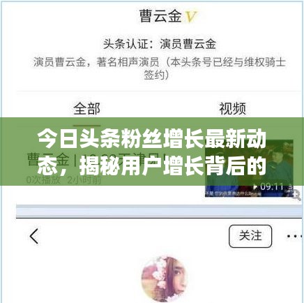 今日頭條粉絲增長最新動(dòng)態(tài)，揭秘用戶增長背后的秘密！