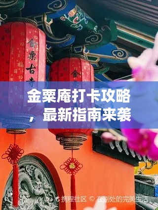 金粟庵打卡攻略，最新指南來襲！