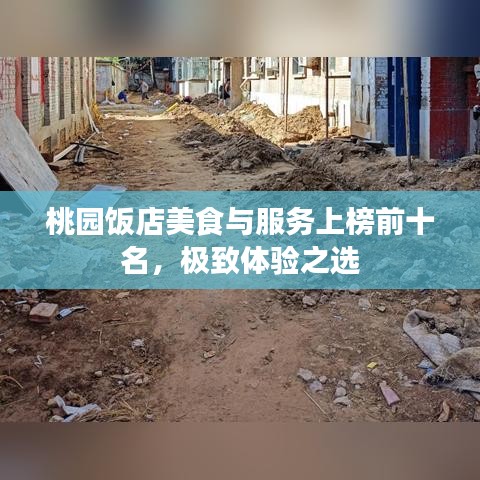 桃園飯店美食與服務上榜前十名，極致體驗之選