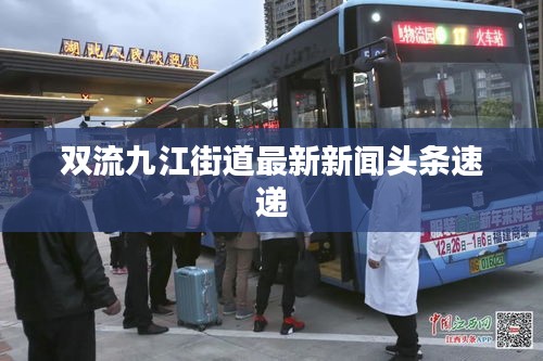 雙流九江街道最新新聞頭條速遞