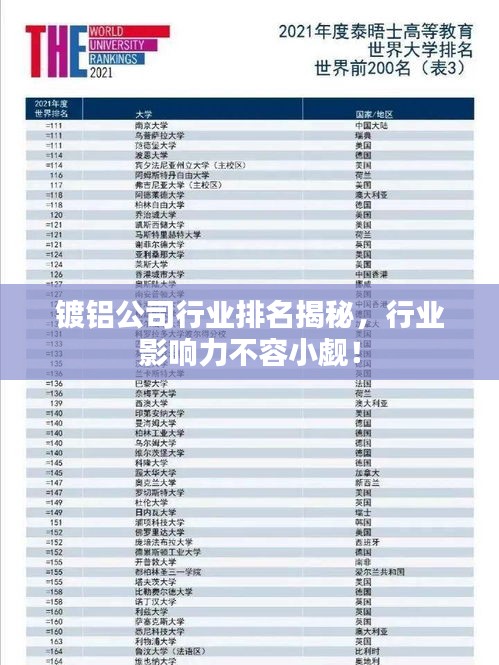 鍍鋁公司行業(yè)排名揭秘，行業(yè)影響力不容小覷！