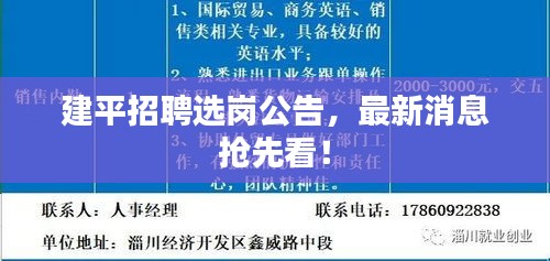 建平招聘選崗公告，最新消息搶先看！