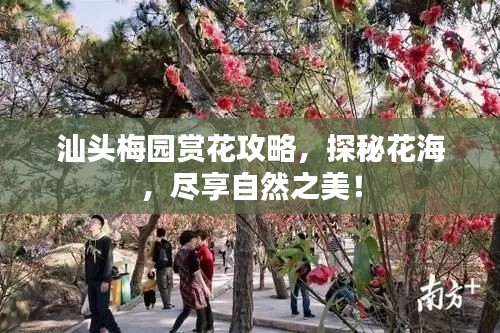 汕頭梅園賞花攻略，探秘花海，盡享自然之美！