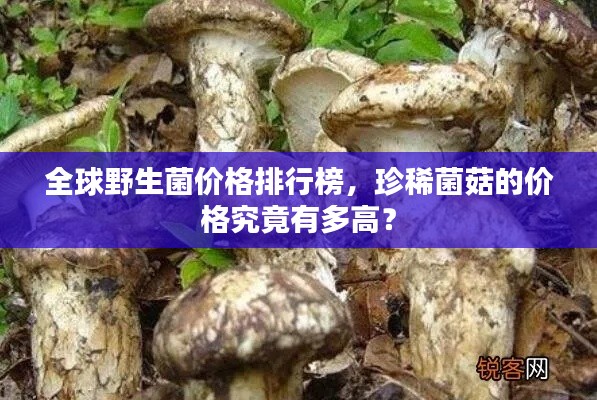 橘虞初夢 第4頁