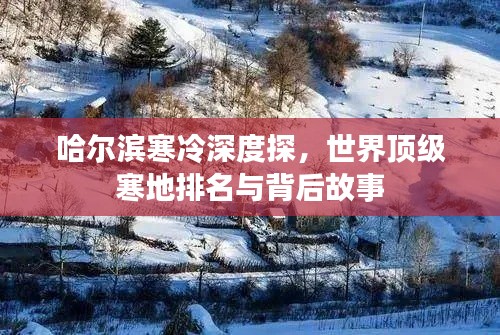 哈爾濱寒冷深度探，世界頂級(jí)寒地排名與背后故事