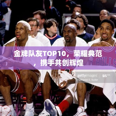 金牌隊友TOP10，榮耀典范，攜手共創(chuàng)輝煌