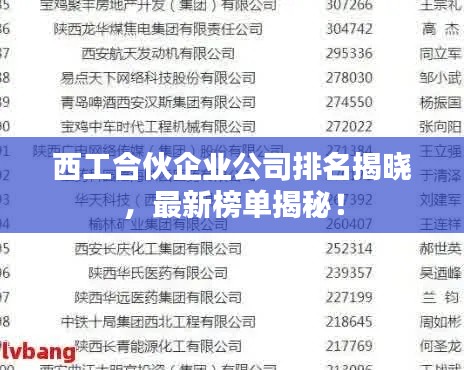 西工合伙企業(yè)公司排名揭曉，最新榜單揭秘！