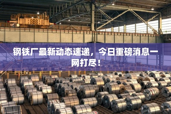 鋼鐵廠最新動(dòng)態(tài)速遞，今日重磅消息一網(wǎng)打盡！