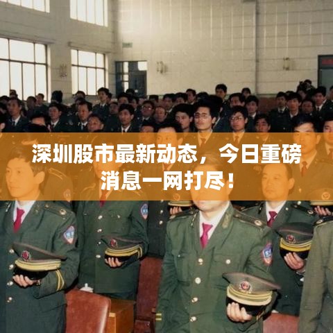 深圳股市最新動態(tài)，今日重磅消息一網打盡！