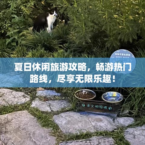 夏日休閑旅游攻略，暢游熱門路線，盡享無限樂趣！