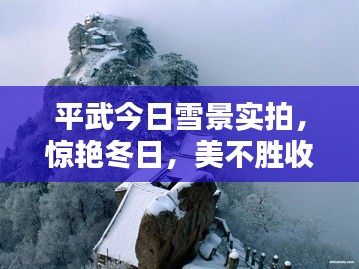 平武今日雪景實拍，驚艷冬日，美不勝收！
