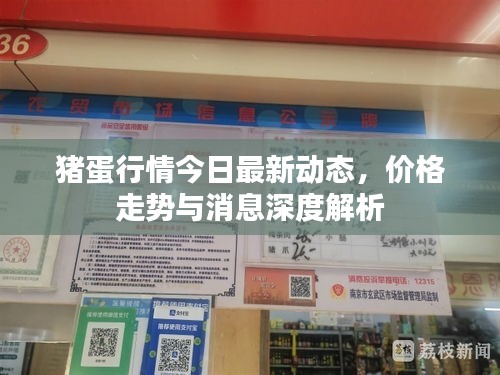 豬蛋行情今日最新動(dòng)態(tài)，價(jià)格走勢(shì)與消息深度解析