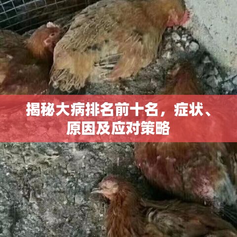 揭秘大病排名前十名，癥狀、原因及應對策略