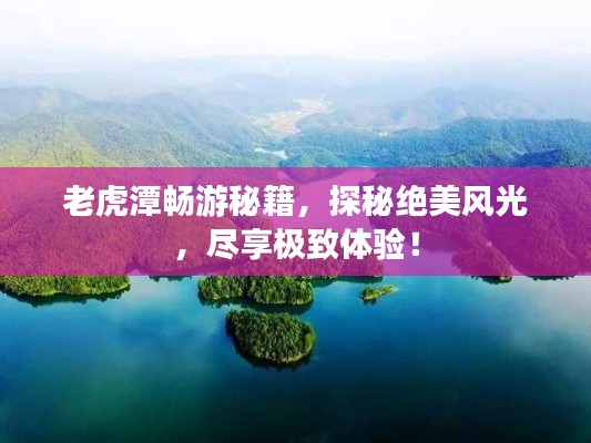 產(chǎn)品展示 第296頁