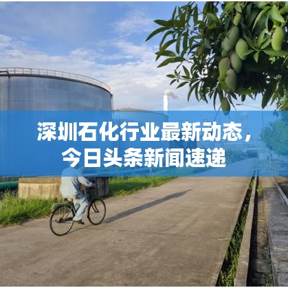 丟三落四 第3頁