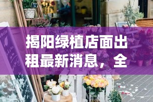 揭陽(yáng)綠植店面出租最新消息，全面更新，一睹即知