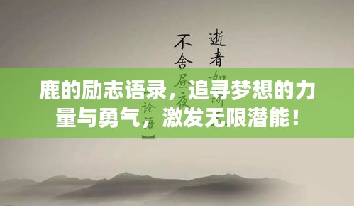 鹿的勵(lì)志語錄，追尋夢(mèng)想的力量與勇氣，激發(fā)無限潛能！