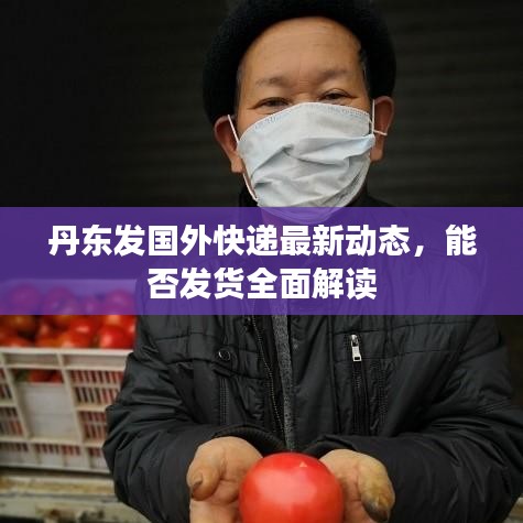 丹東發(fā)國外快遞最新動態(tài)，能否發(fā)貨全面解讀