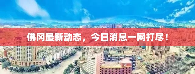 佛岡最新動態(tài)，今日消息一網打盡！