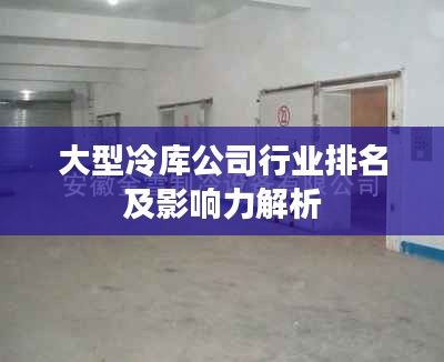 大型冷庫(kù)公司行業(yè)排名及影響力解析