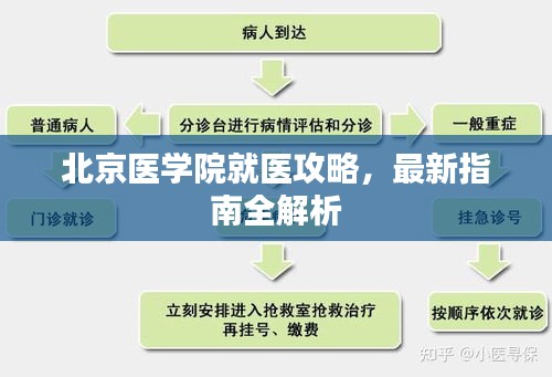 北京醫(yī)學(xué)院就醫(yī)攻略，最新指南全解析