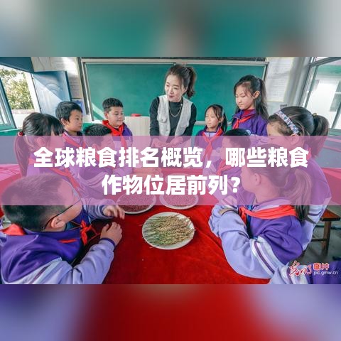 全球糧食排名概覽，哪些糧食作物位居前列？