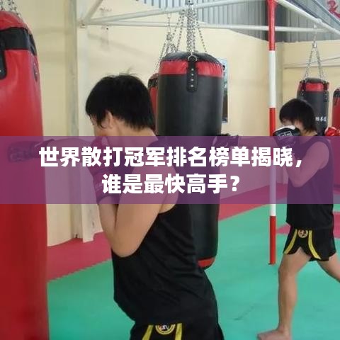 世界散打冠軍排名榜單揭曉，誰(shuí)是最快高手？