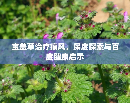 寶蓋草治療痛風(fēng)，深度探索與百度健康啟示