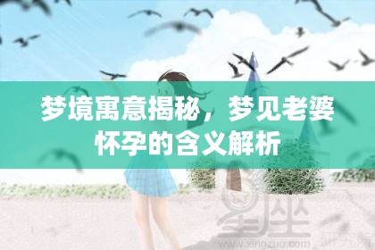 夢(mèng)境寓意揭秘，夢(mèng)見老婆懷孕的含義解析
