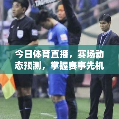 今日體育直播，賽場(chǎng)動(dòng)態(tài)預(yù)測(cè)，掌握賽事先機(jī)最新消息