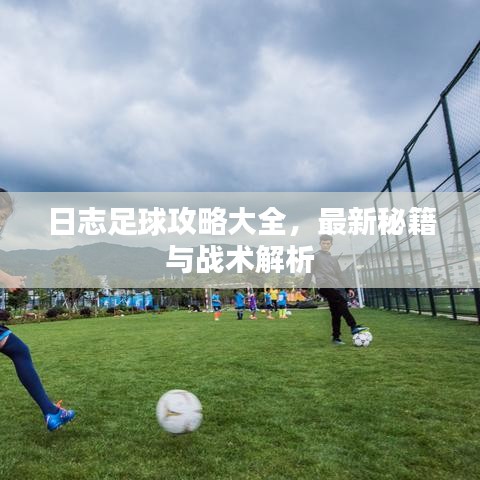日志足球攻略大全，最新秘籍與戰(zhàn)術解析