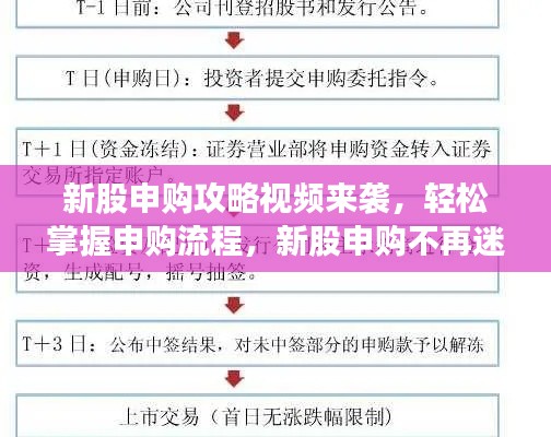 新股申購攻略視頻來襲，輕松掌握申購流程，新股申購不再迷茫