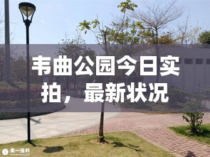 韋曲公園今日實(shí)拍，最新狀況全解析