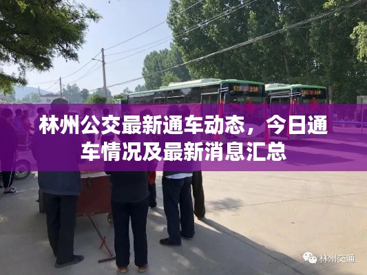 林州公交最新通車動(dòng)態(tài)，今日通車情況及最新消息匯總